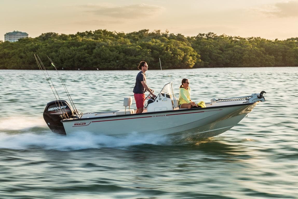 Boston Whaler 170 Montauk · 2027 en venta en Costa Azul