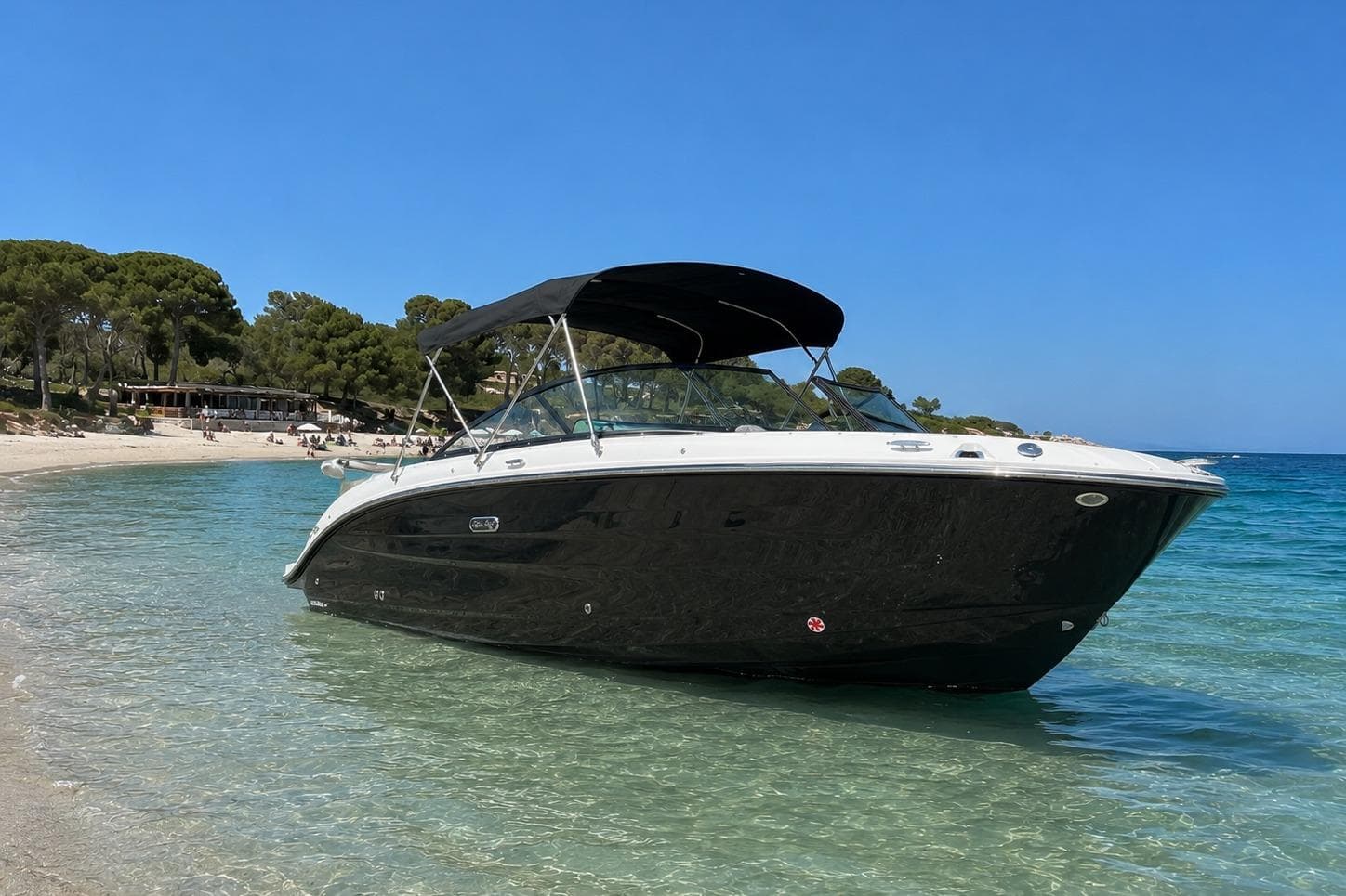 Sea Ray SDX 250 Outboard · 2026 en venta en Costa Azul