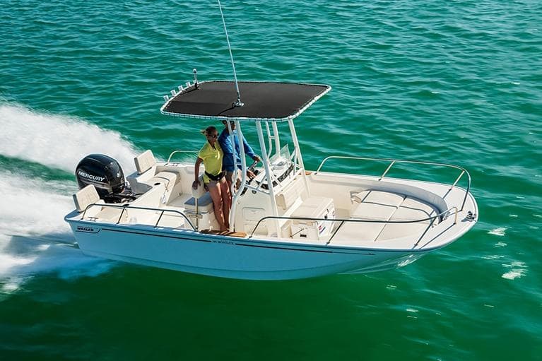 Boston Whaler 190 Montauk · 2027 en venta en Costa Azul