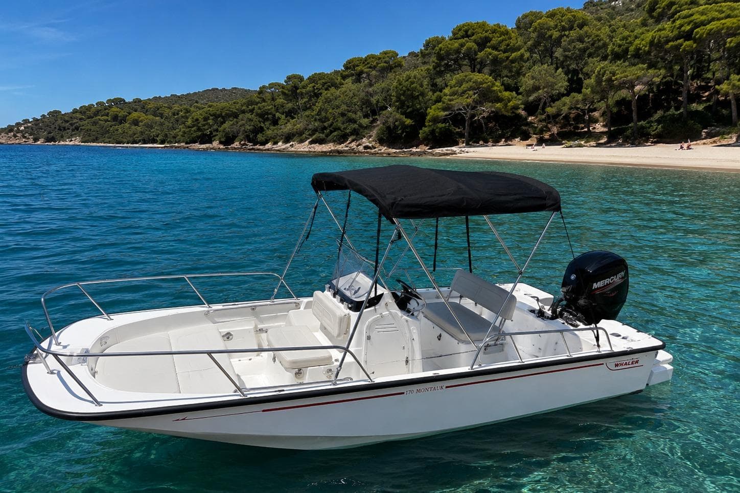 Boston Whaler 170 Montauk · 2022 en venta en Costa Azul